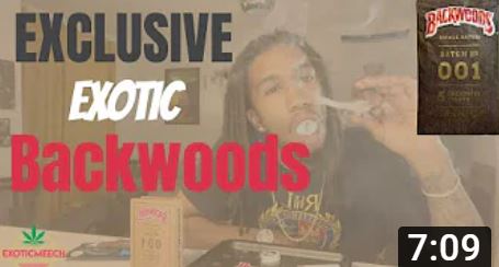 How To Roll An EXCLUSIVE EXOTIC BACKWOODS Cigar